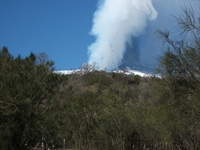 anobello-04032012 099
